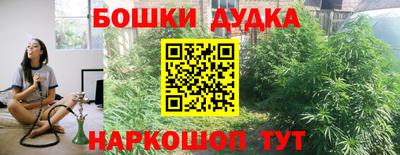 сатива Бузулук