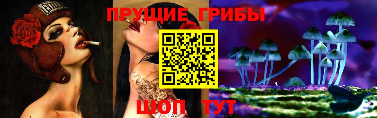 Кандалакша  Галлюциногенные грибы ЛСД  Вход с VPN 