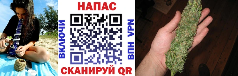 Каннабис сатива  Кандалакша 